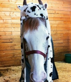 Weekly Instagram Round-Up