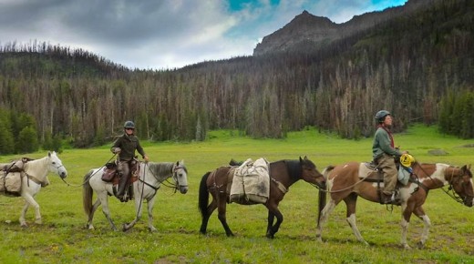 Through the Wilderness: The National Outdoor Leadership School Horsepacking Program