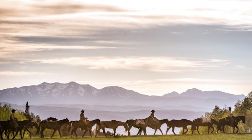 ‘Unbranded’: 3,000 Miles and 16 Mustangs