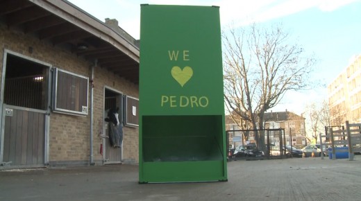 These Kids Designed the World’s First Equine Periscope