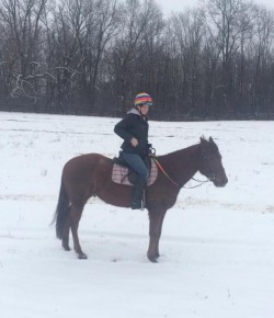 The Horses That Carry Us