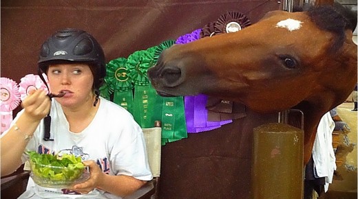 Would You Feed Your Horse Organic?