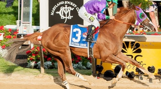 Where in the World is California Chrome?