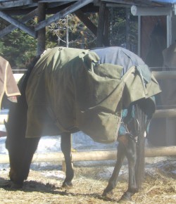 9 Blankets That Fought the Good Fight