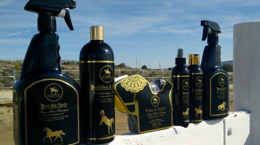 Product Review: Ponytail Grooming Products