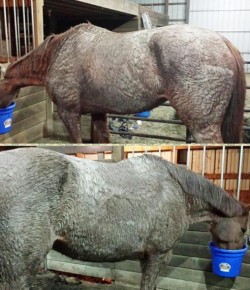 Weekly Instagram Round-Up