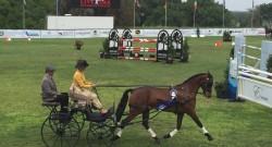 Live from Live Oak International: Final Day!