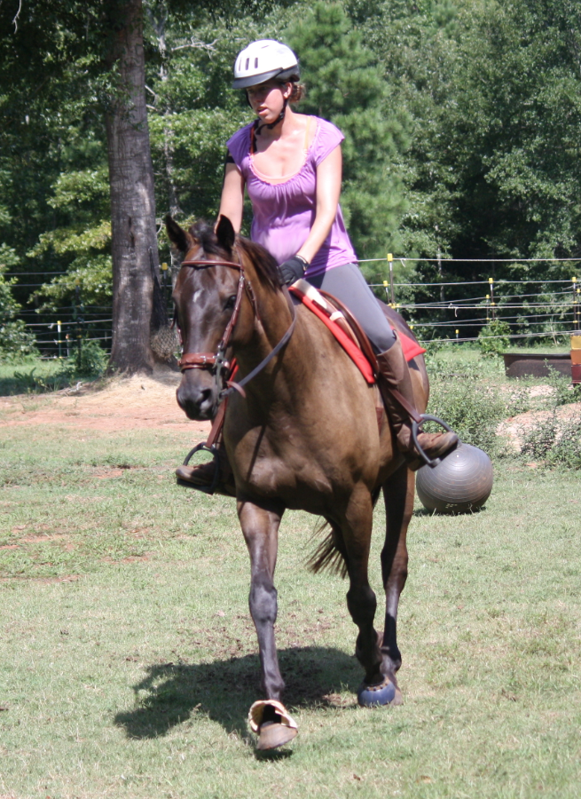 Me, My Horse & Kissing Spine Back in the Tack HORSE NATION