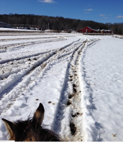 Let’s Discuss: Coping with Spring