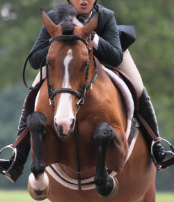 Why Rider Fitness Matters to Me