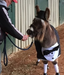 Weekly Instagram Round-Up