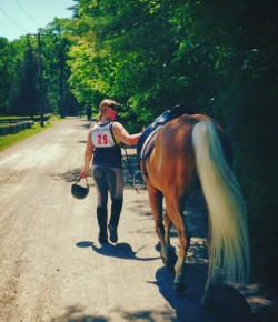 Run, Bike, Ride, Paddle: The ECTAthlon