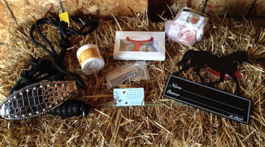 Product Review: The Whinnying Horse Box