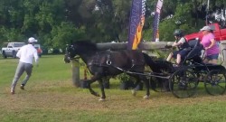 Why Is Chester Weber Being Chased by This Boy & Pony?