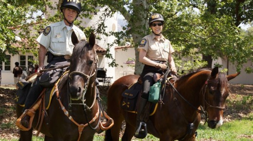 5 Ways to Give Back With Horses This Spring