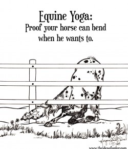 The Idea of Order: Equine Yoga