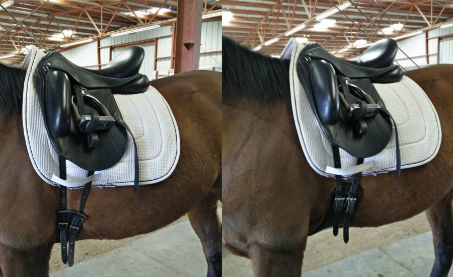 Product Review The Total Saddle Fit Shoulder Relief Dressage Girth 