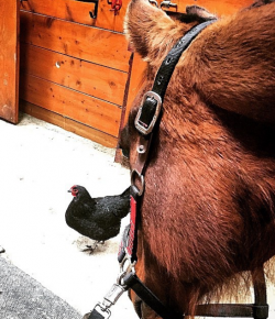 Weekly Instagram Round-Up