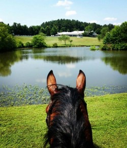 16 Reader-Submitted Beautiful Trail Rides: Honorable Mentions