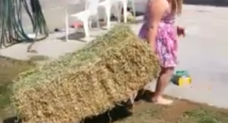 Have Bale, Will Travel