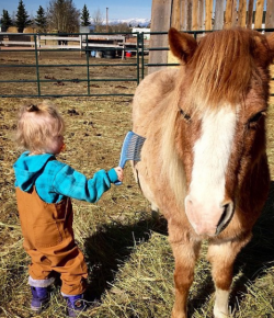 Weekly Instagram Round-Up