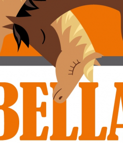 #TBT: Most Popular Horse Names, Info Graphic