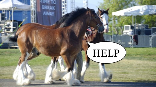 8 Things We Know We Shouldn’t Do But Do Anyway