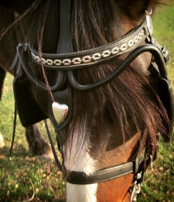 Weekly Instagram Round-Up