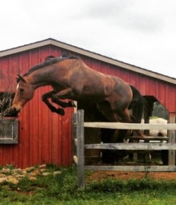 Weekly Instagram Round-Up