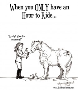 The Idea of Order: On a schedule?