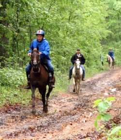 Competing On The Trail, Part I: Competitive Rides