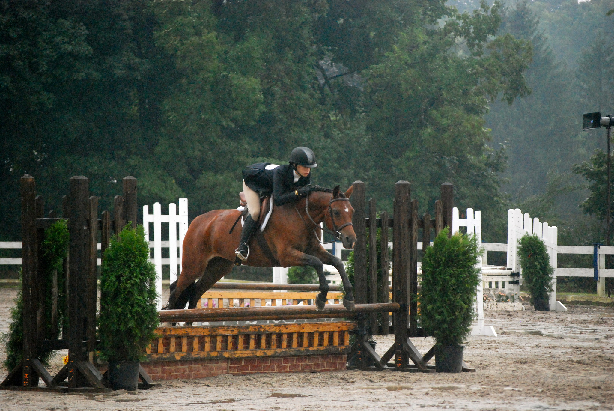 Would You Rather Spring Edition