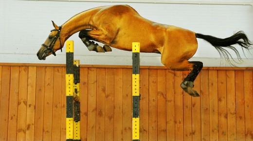 What to Expect When You’re Inspecting