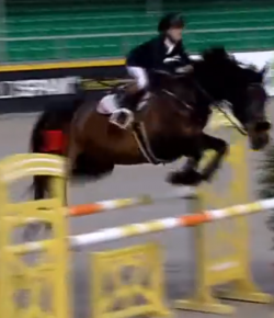 Bertram Isn’t the Only Jumper in the Family