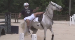 Auburn U Just Did What We’ve All Been Dreaming Of