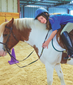 Standing Ovation by Ovation Riding