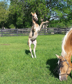 Weekly Instagram Round-Up