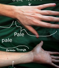 #TBT: 6 Ways Equestrians Know Summer Is Coming