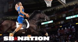 SB Nation: Horses Need to Play More Sports