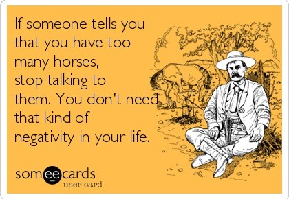 15 Things Equestrians Don’t Need to Hear