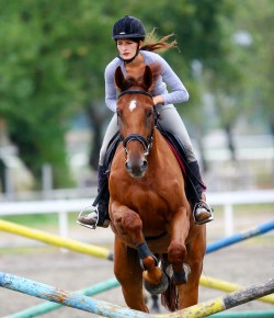 Stronger in the Saddle