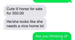 Texts From a Horse Show Dad