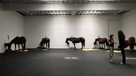 NYC Gallery Installation Features Live Horses