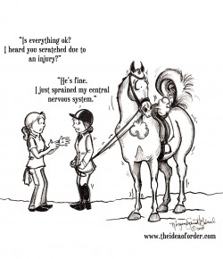 The Idea of Order: The Newest Sports Injury…