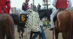 Belmont Traditions: Official Song, Drink & Flower