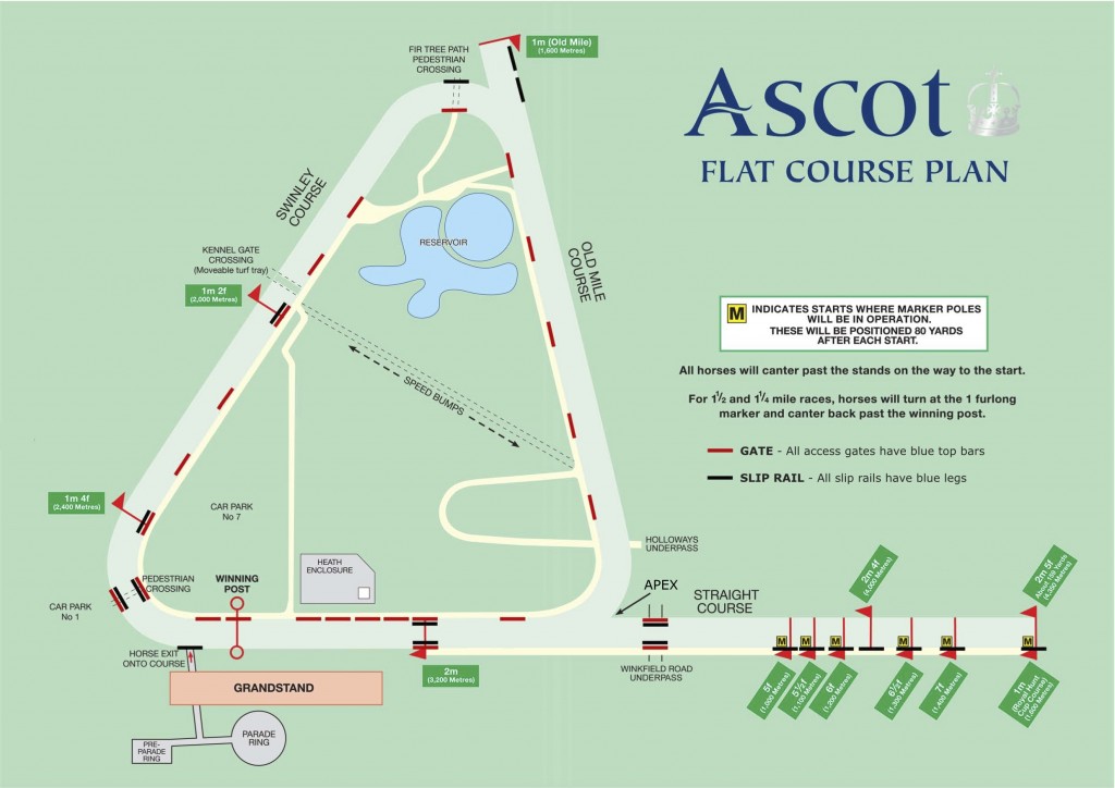 UPDATED California Chrome Scratched At Ascot HORSE NATION