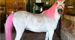 Weekly Instagram Round-Up