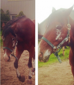 Weekly Instagram Round-Up