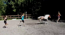 Daily Dose of Adorable: Nemo Leads Team Workout