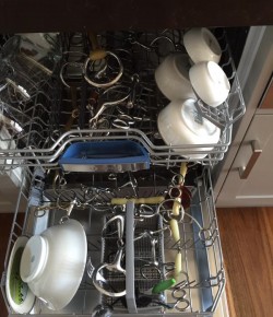 Absorbine Challenge: 4 Tools Repossessed For the Barn